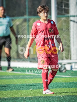 Detalhes da foto #27201