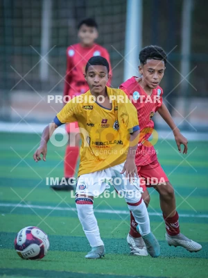 Detalhes da foto #41147