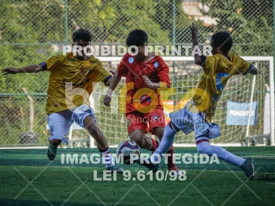 Detalhes da foto #38294