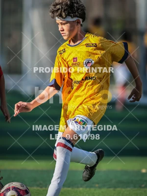 Detalhes da foto #70043