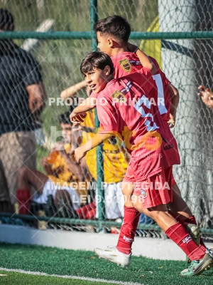 Detalhes da foto #89688