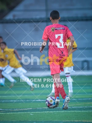 Detalhes da foto #53230