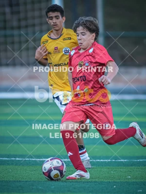 Detalhes da foto #27211