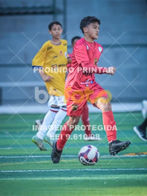 Detalhes da foto #29398