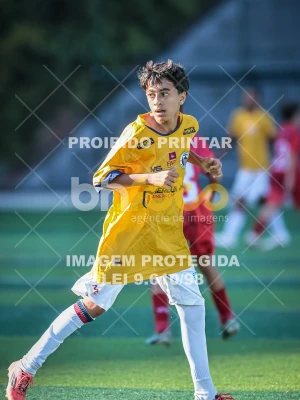 Detalhes da foto #12012