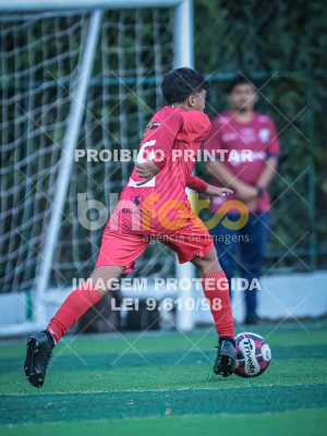 Detalhes da foto #92184