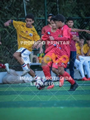 Detalhes da foto #64691