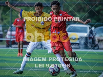 Detalhes da foto #48773