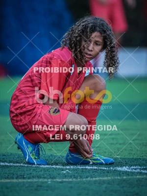 Detalhes da foto #17919