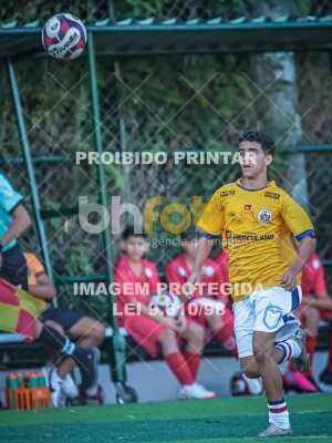 Detalhes da foto #95337