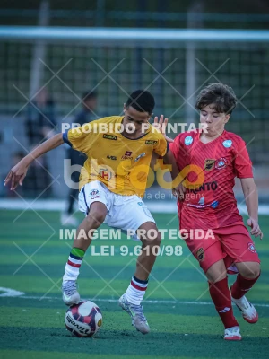 Detalhes da foto #94036