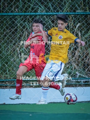 Detalhes da foto #80687