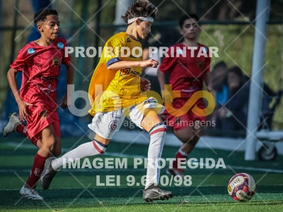 Detalhes da foto #62858