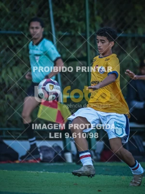 Detalhes da foto #96086