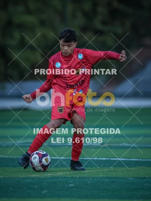 Detalhes da foto #86076