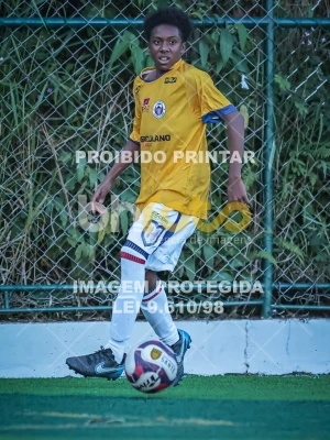 Detalhes da foto #22720