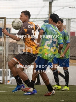 Detalhes da foto #5328672