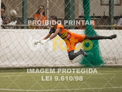 Detalhes da foto #4486298