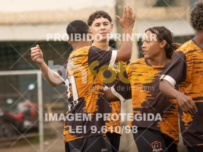 Detalhes da foto #3548414