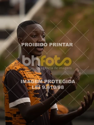 Detalhes da foto #4233245