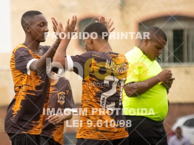 Detalhes da foto #9554205
