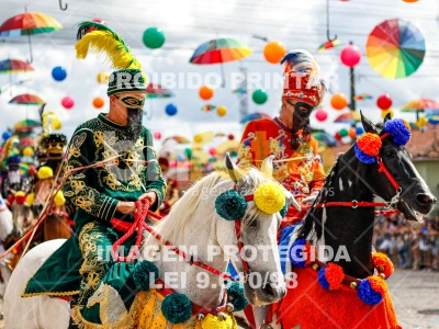 Detalhes da foto #81123