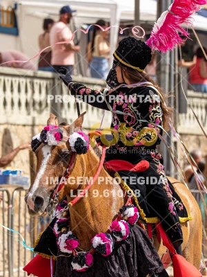 Detalhes da foto #86559