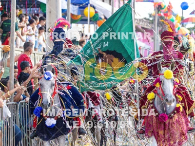 Detalhes da foto #69352