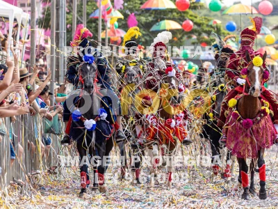 Detalhes da foto #37402