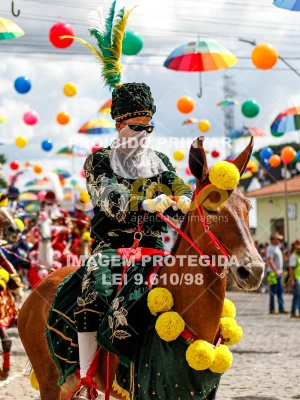 Detalhes da foto #21317