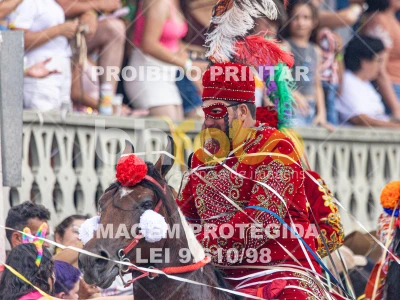 Detalhes da foto #27189