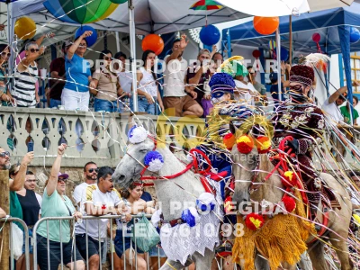 Detalhes da foto #46458