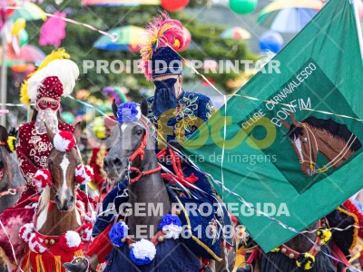 Detalhes da foto #59775