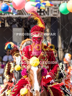 Detalhes da foto #74128