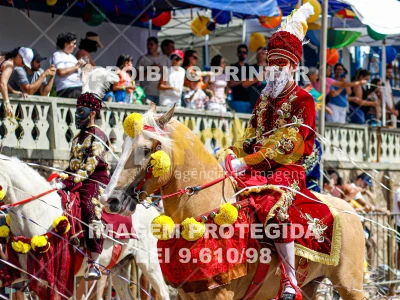 Detalhes da foto #33250