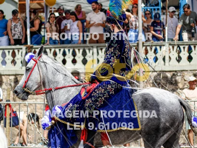 Detalhes da foto #27478