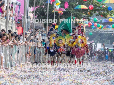 Detalhes da foto #73992