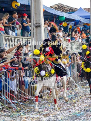 Detalhes da foto #83156