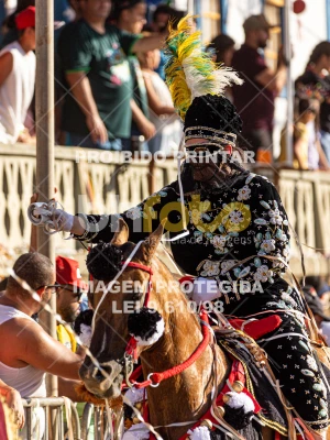 Detalhes da foto #24545