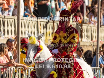 Detalhes da foto #15435