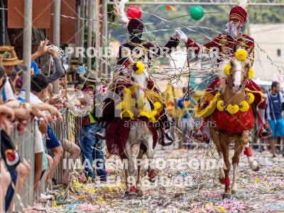 Detalhes da foto #57302