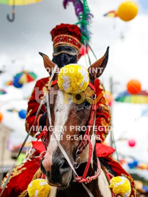 Detalhes da foto #53217