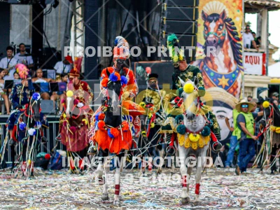 Detalhes da foto #75423