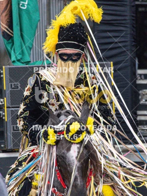 Detalhes da foto #63974