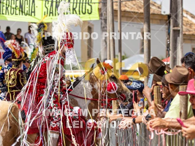 Detalhes da foto #36622