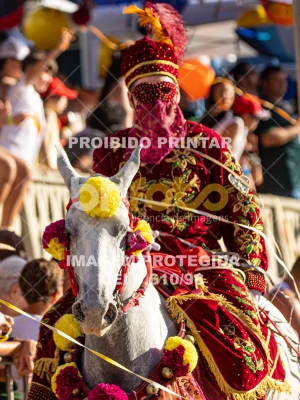 Detalhes da foto #10592