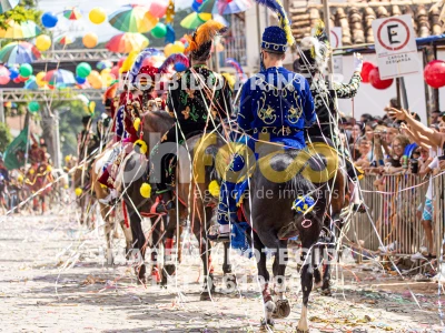 Detalhes da foto #44829