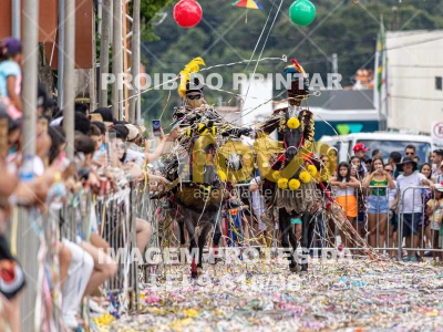 Detalhes da foto #46802