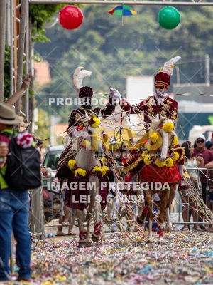 Detalhes da foto #43250