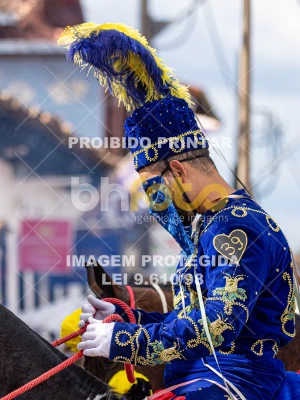 Detalhes da foto #97445